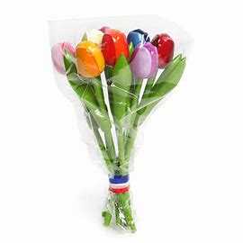 Mini Tulips