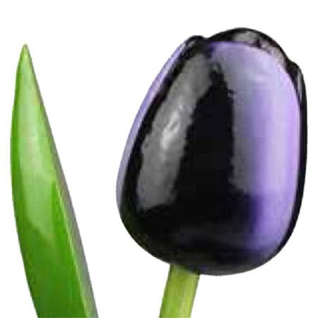 Wooden Tulips - Various colours