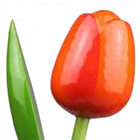 Wooden Tulips - Various colours