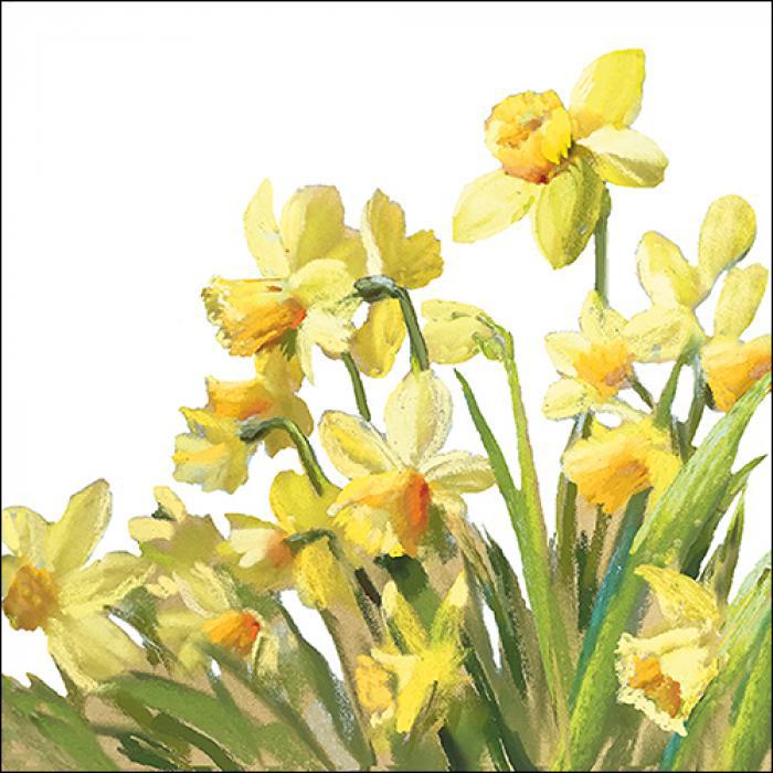 Ambiente Napkins - Golden Daffodils ... Holland Store - Toronto
