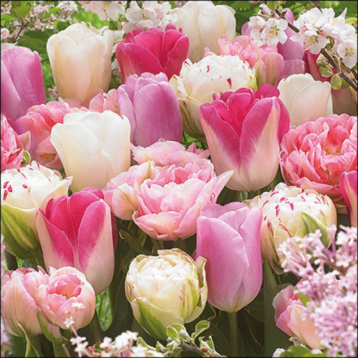 Ambiente Napkins - Pink Tulips ... Holland Store - Toronto
