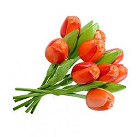 Wooden Tulips