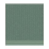 DDDDD Towel-Monstera Laurel