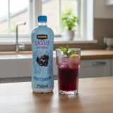 Jumbo Cassis Fruitsiroop 2 --- Holland Store - Toronto