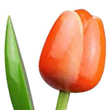 Wooden Tulips - Various colours