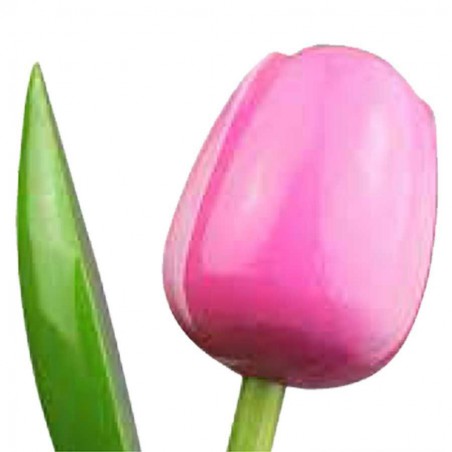 Wooden Tulips - Various colours