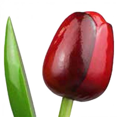 Wooden Tulips - Various colours