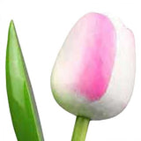 Wooden Tulips - Various colours