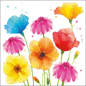 Ambiente Napkins - Colourful Summer Flowers ... Holland Store - Toronto
