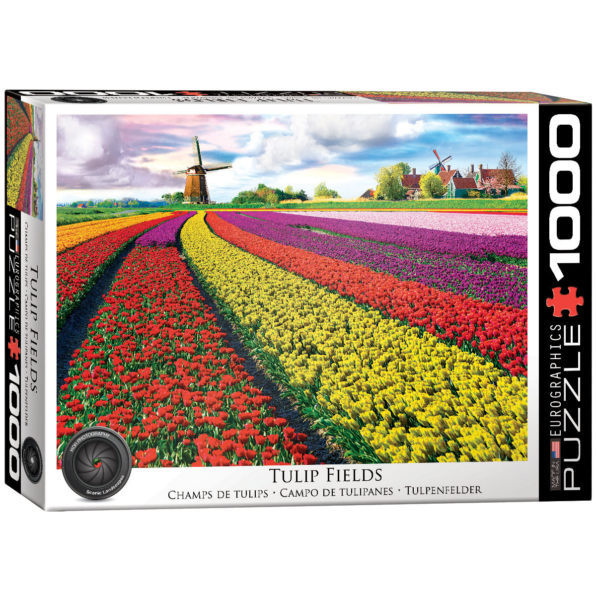 Eurographics Puzzle - Tulip Fields