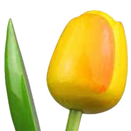 Wooden Tulip - Yellow / Orange