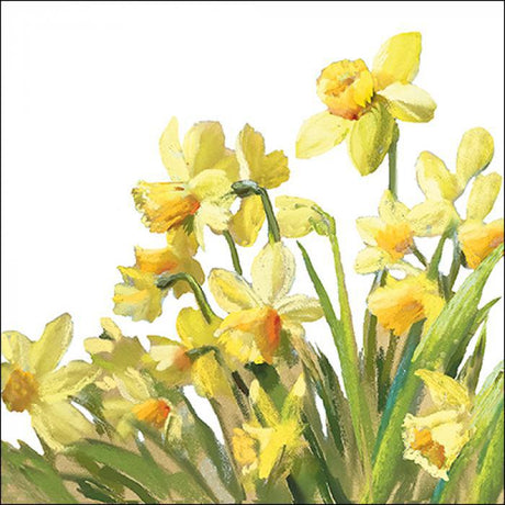 Ambiente Napkins - Golden Daffodils ... Holland Store - Toronto