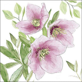 Ambiente Napkins - Classic Helleborus ... Holland Store - Toronto