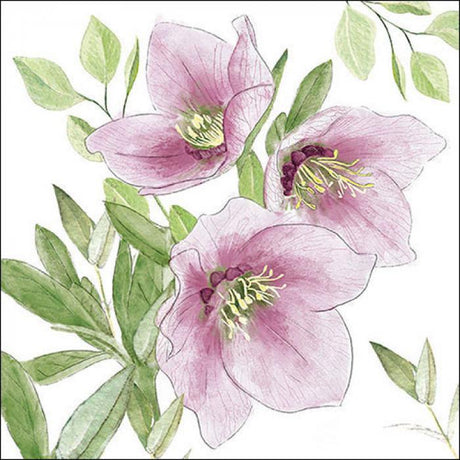 Ambiente Napkins - Classic Helleborus ... Holland Store - Toronto